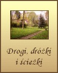Drogi, drki i cieki