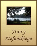 Stawy Stefaskiego