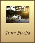 Staw Piecha