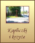 Kapliczki i krzye