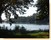 Staw Stefaskiego